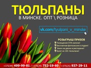 Цветы к 8 марту оптом и в розницу. Предзаказ