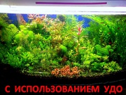 Удобрения(микро,  макро,  калий,  железо) удо для аквариумных растений=
