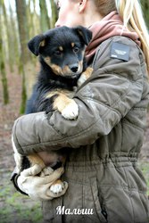 Малыш СРОЧНО ищет ДОМ!  Ребенок остался совсем ОДИН!!! К счастью,  мама