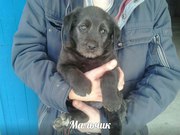 СРОЧНО ИЩЕМ ДОМ НОВИЧКУ!!!  Вот такое чудное чудо сегодня оказалось в 